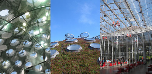 California Academy of Sciences, San Francisco